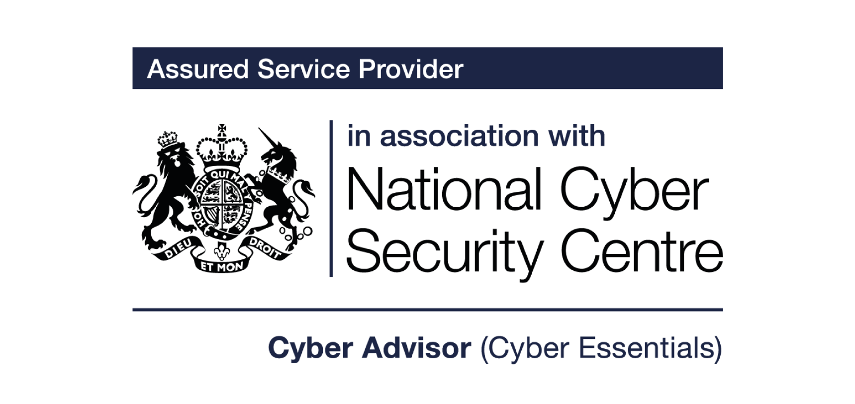 Cyber Advisors